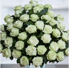 The Color of Your Day - 48 Stems In Bouquet